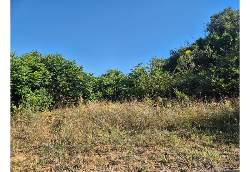 Boccea - Via Carezzano